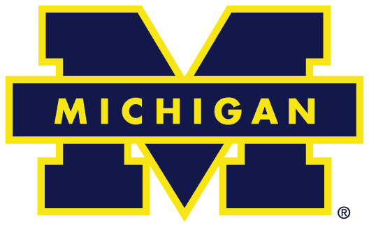 Michigan Wolverines 1988-1996 Primary Logo iron on transfers for clothing